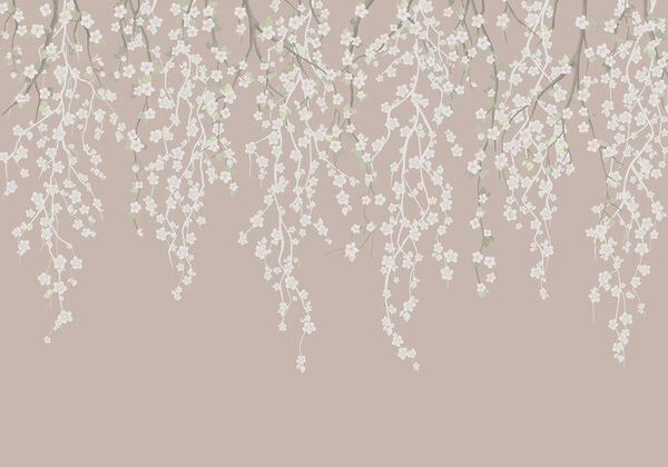 Fleurs blanches sur une branche d'arbre Fleurs blanches sur une branche d'arbre