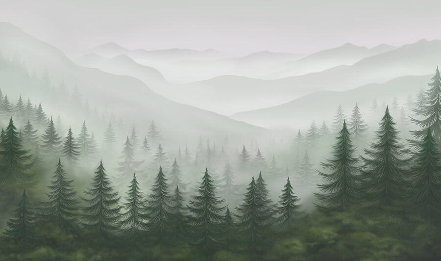 Paysage brumeux avec arbres et montagnes