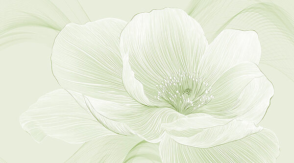 Lignes délicates de la beauté de la nature Lignes délicates de la beauté de la nature
