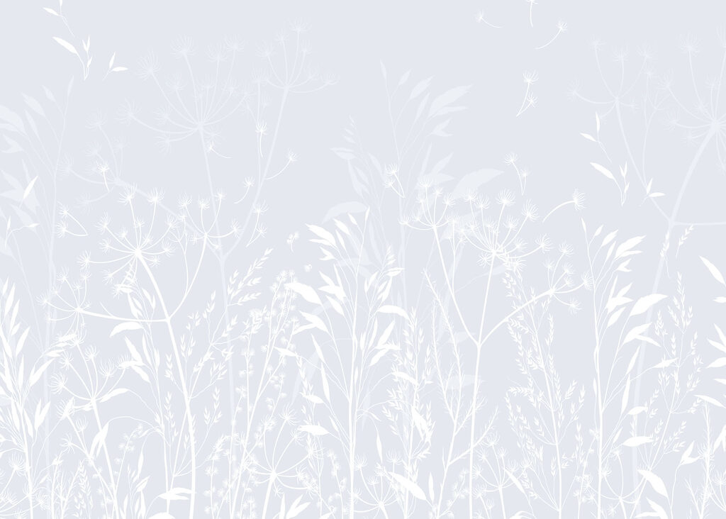 Motif floral blanc sur fond clair Motif floral blanc sur fond clair
