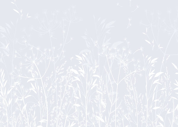 Motif floral blanc sur fond clair Motif floral blanc sur fond clair