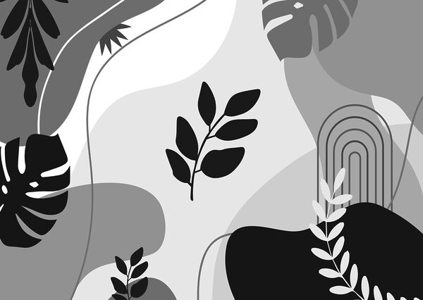 Image en noir et blanc de feuilles et de plantes Image en noir et blanc de feuilles et de plantes