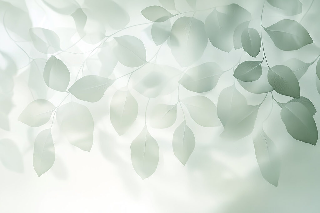 Feuilles douces dans une lumière tamisée Feuilles douces dans une lumière tamisée