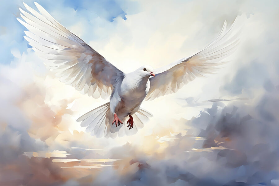 Colombe blanche volant dans le ciel