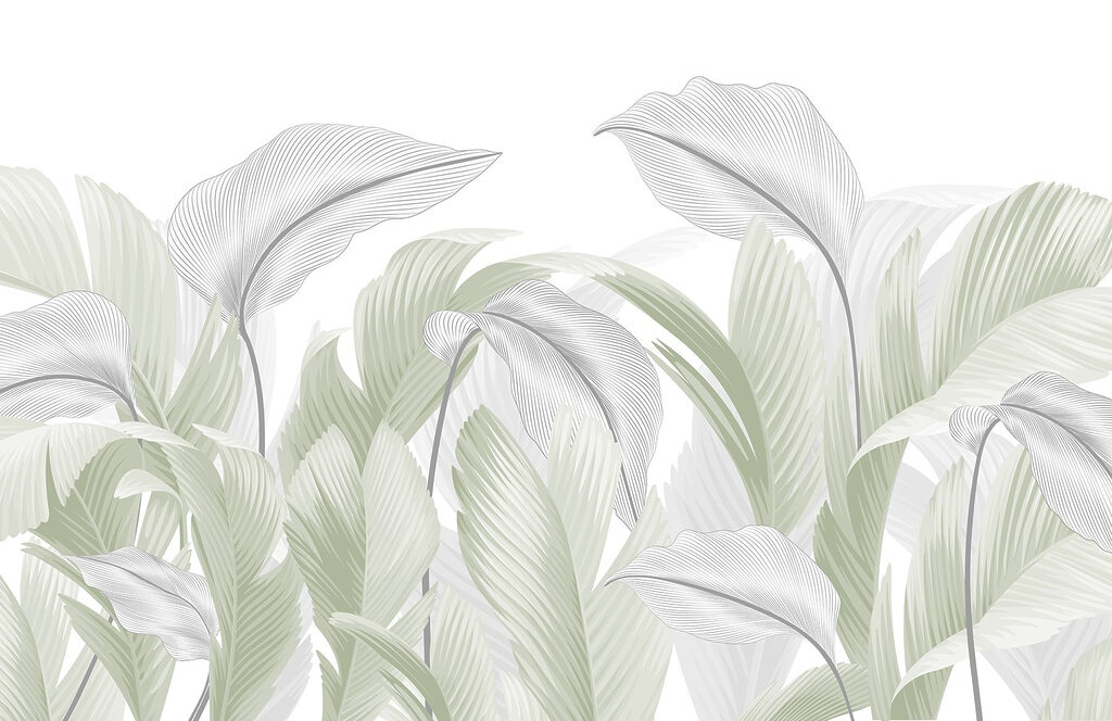Feuilles vertes élégantes sur fond blanc Feuilles vertes élégantes sur fond blanc