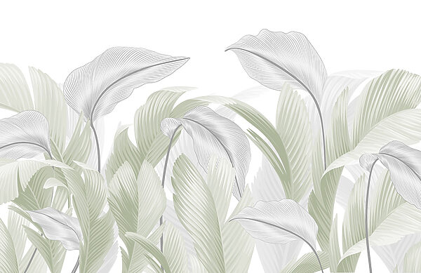 Feuilles vertes élégantes sur fond blanc Feuilles vertes élégantes sur fond blanc