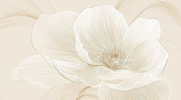 Lignes délicates définissant la beauté florale Lignes délicates définissant la beauté florale