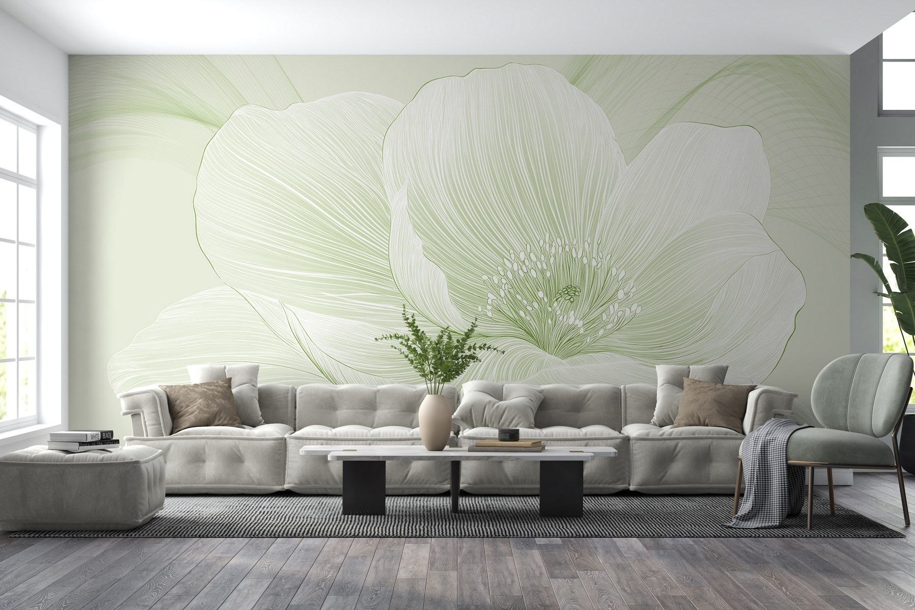 Delicate lines of nature’s beauty