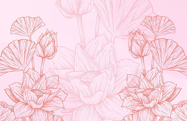 Dessin de fleurs roses et blanches Dessin de fleurs roses et blanches