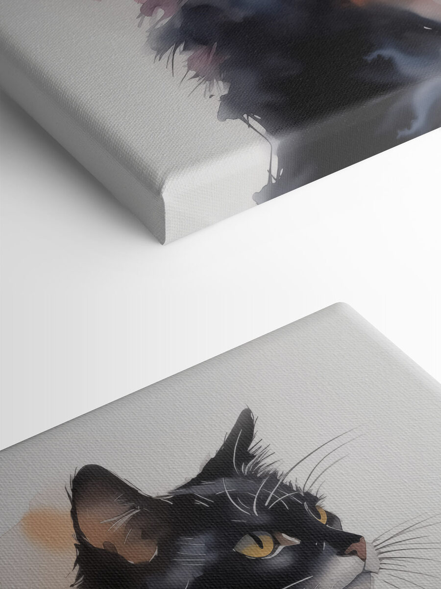 Chat au visage blanc et noir
