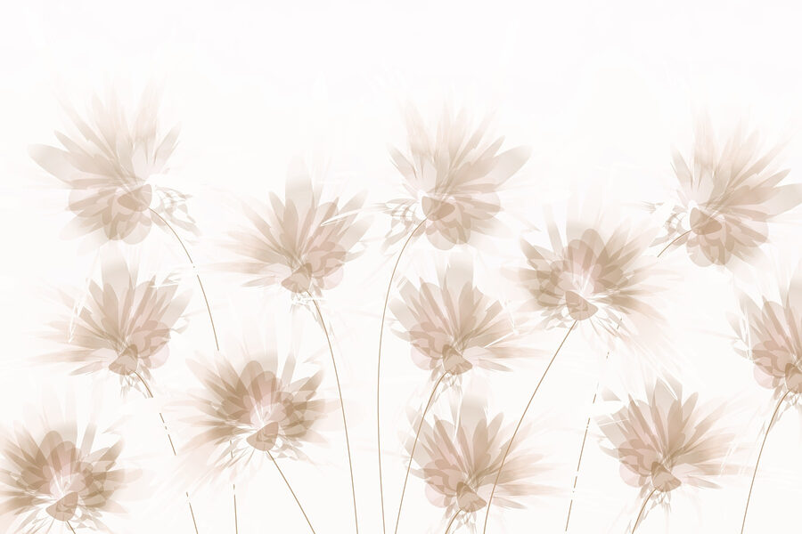 Groupe de fleurs sur fond blanc