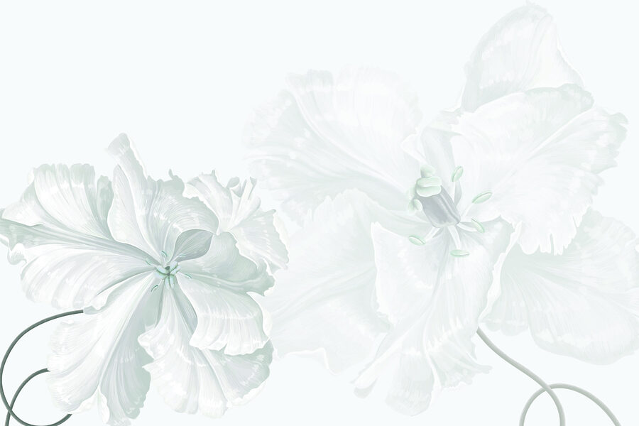 Des fleurs délicates dans une douce élégance Des fleurs délicates dans une douce élégance