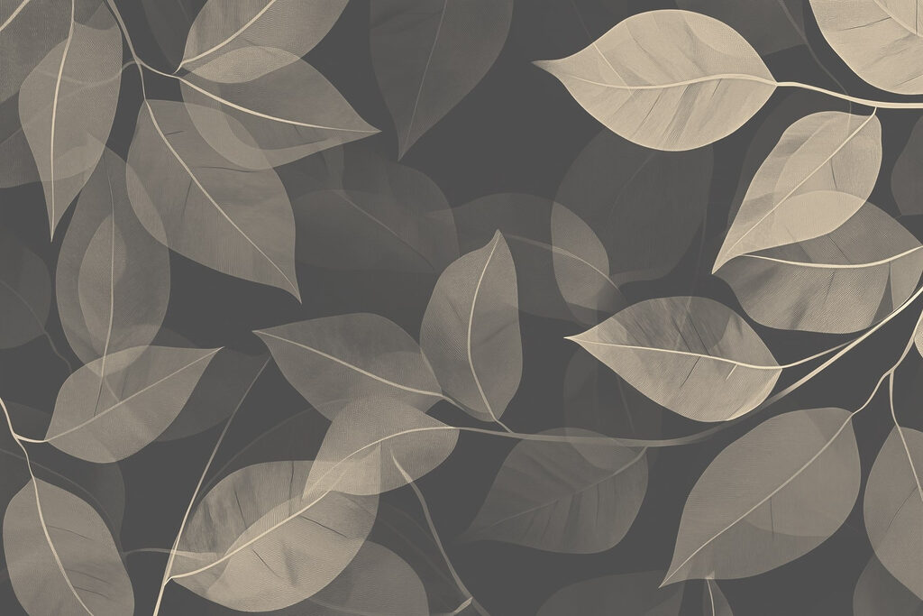 Feuilles douces sur fond de toile sombre Feuilles douces sur fond de toile sombre
