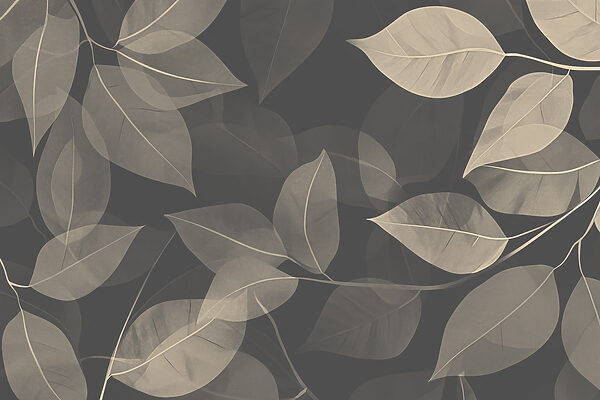 Feuilles douces sur fond de toile sombre Feuilles douces sur fond de toile sombre