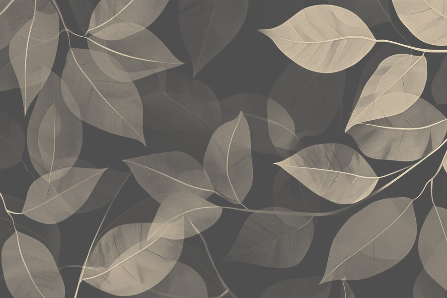 Feuilles douces sur fond de toile sombre
