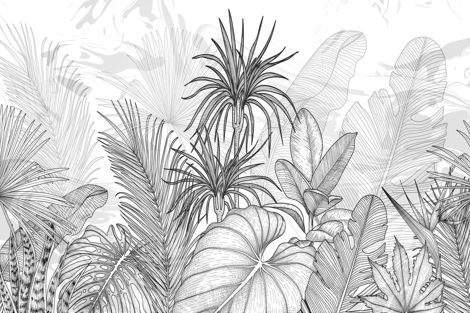 Black and white drawing of plants Black and white drawing of plants