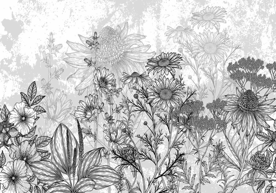 Image de fleurs en noir et blanc