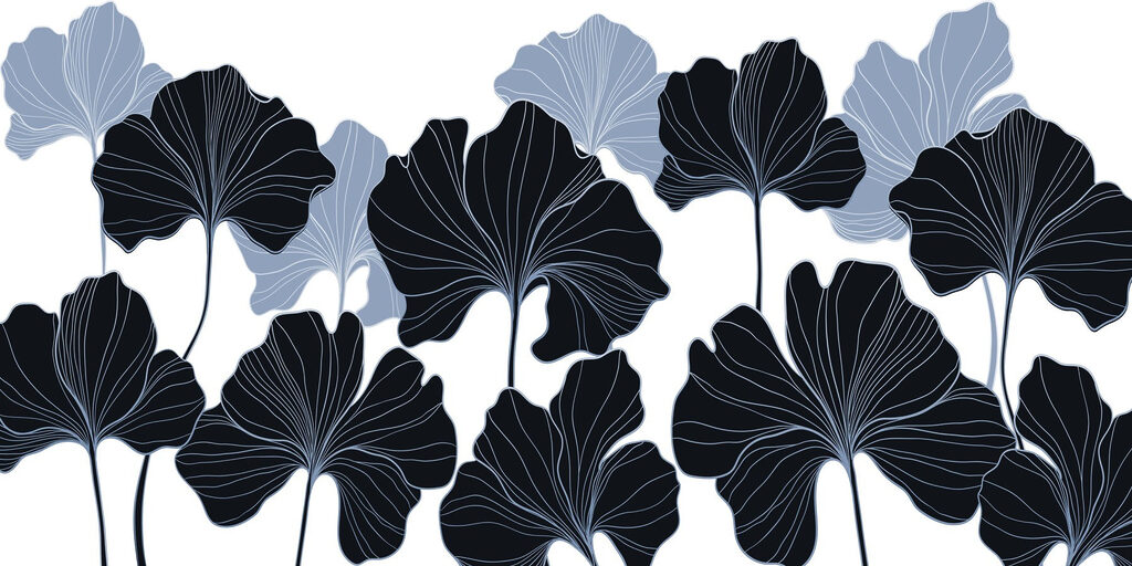 Feuilles élégantes aux couleurs contrastées. Feuilles élégantes aux couleurs contrastées.