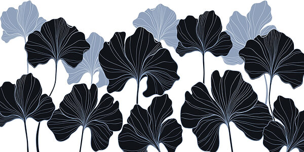 Feuilles élégantes aux couleurs contrastées. Feuilles élégantes aux couleurs contrastées.