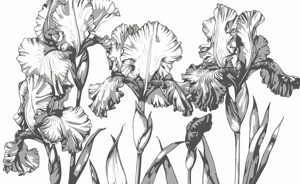 Groupe de fleurs avec feuilles Groupe de fleurs avec feuilles