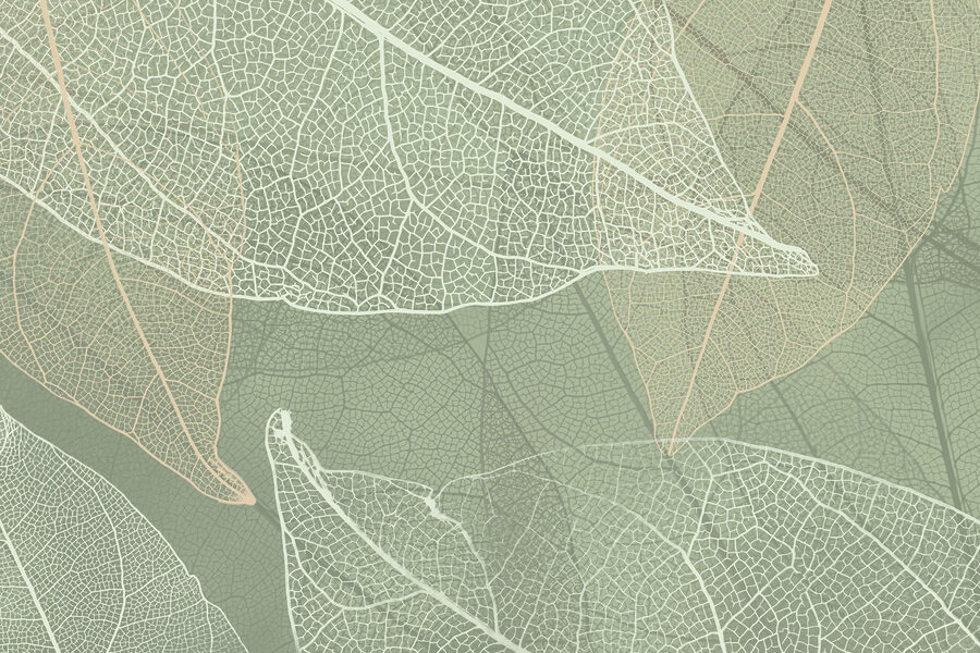 Motifs délicats de la nature