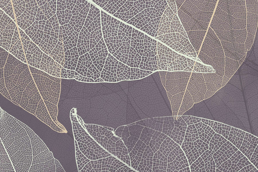 La nature révèle les délicats motifs des feuilles.
