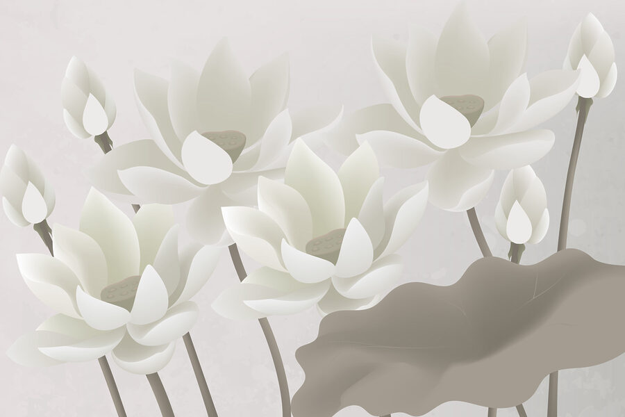 Groupe de fleurs blanches