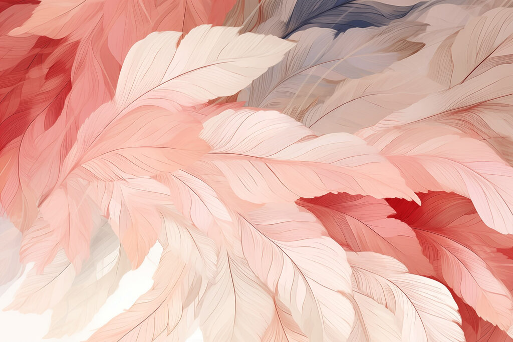 Groupe de plumes roses et blanches Groupe de plumes roses et blanches