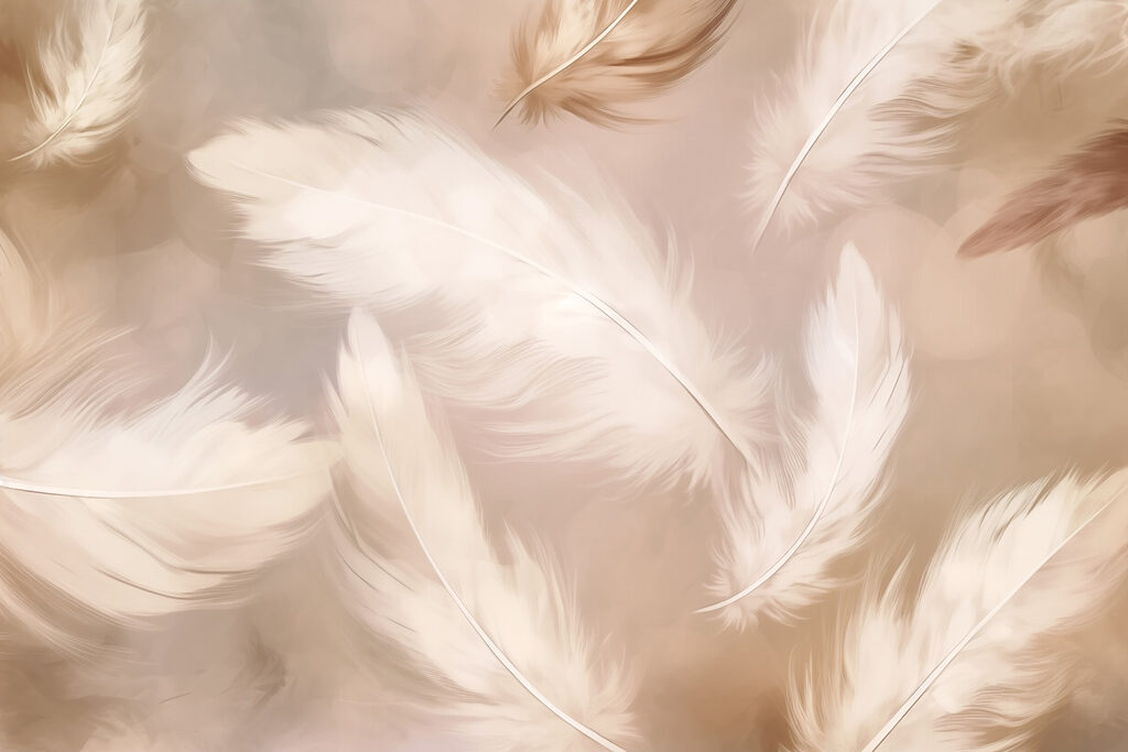 Groupe de plumes blanches Groupe de plumes blanches
