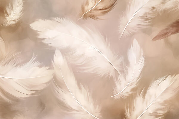 Groupe de plumes blanches Groupe de plumes blanches