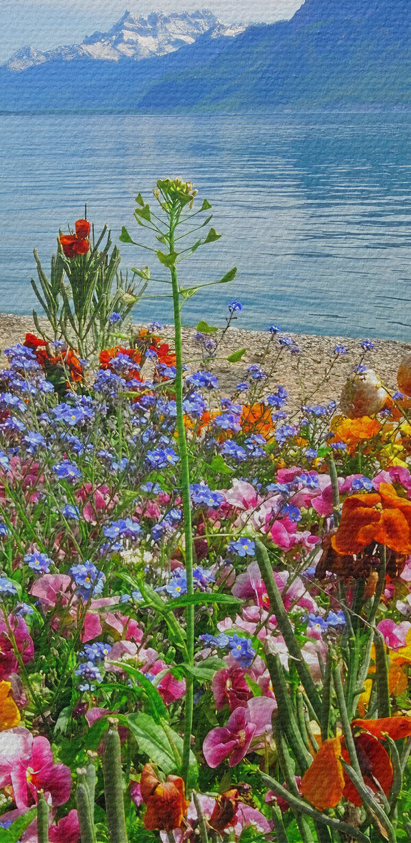 Parterre de fleurs avec des fleurs et un lac en arrière-plan Parterre de fleurs avec des fleurs et un lac en arrière-plan
