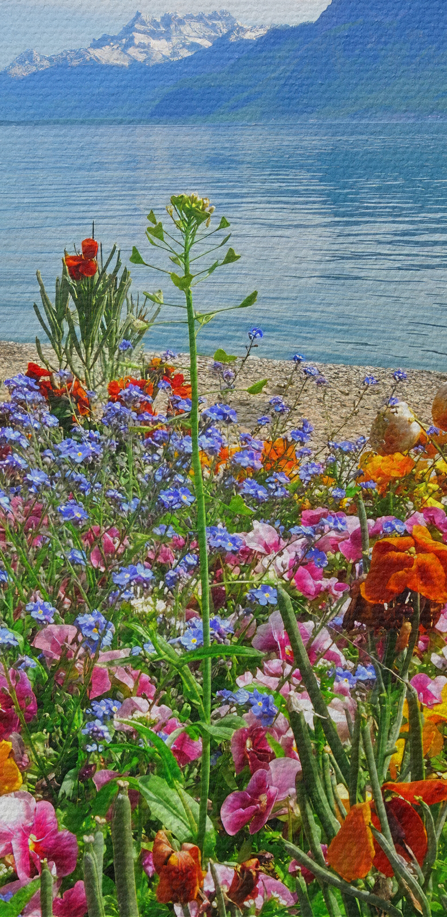 Parterre de fleurs avec des fleurs et un lac en arrière-plan