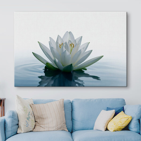 Fleur blanche dans l'eau Fleur blanche dans l'eau