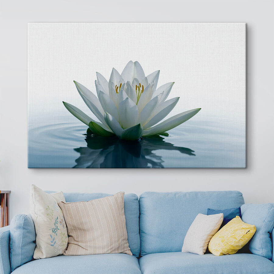 Fleur blanche dans l'eau