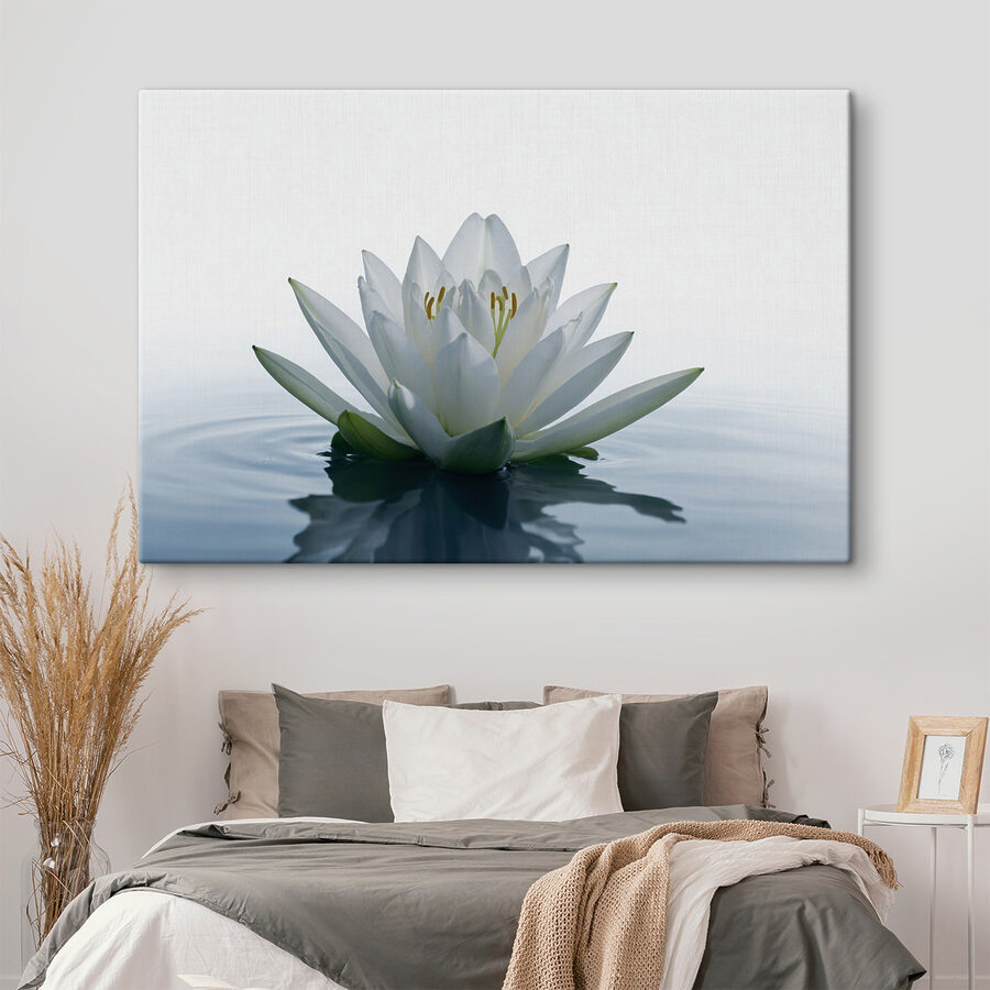 Fleur blanche dans l'eau