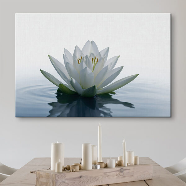 Fleur blanche dans l'eau Fleur blanche dans l'eau