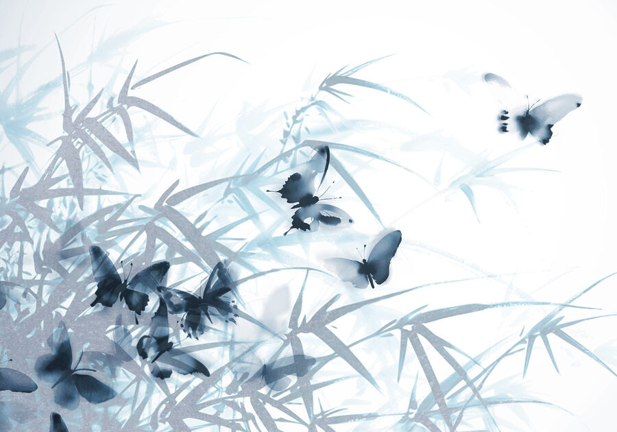 Papillons sur fond blanc