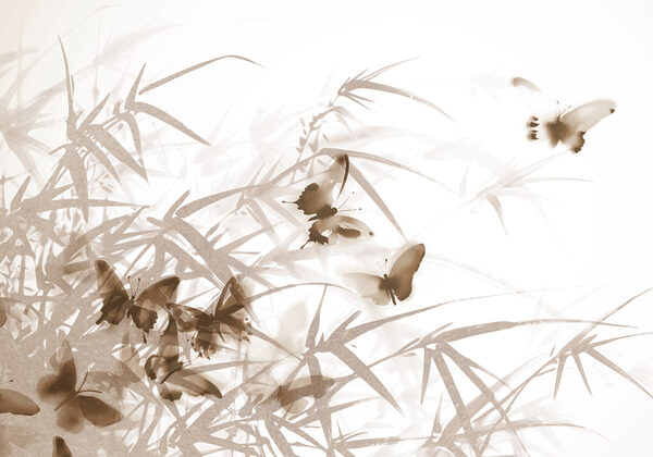 Papillons sur une surface blanche Papillons sur une surface blanche