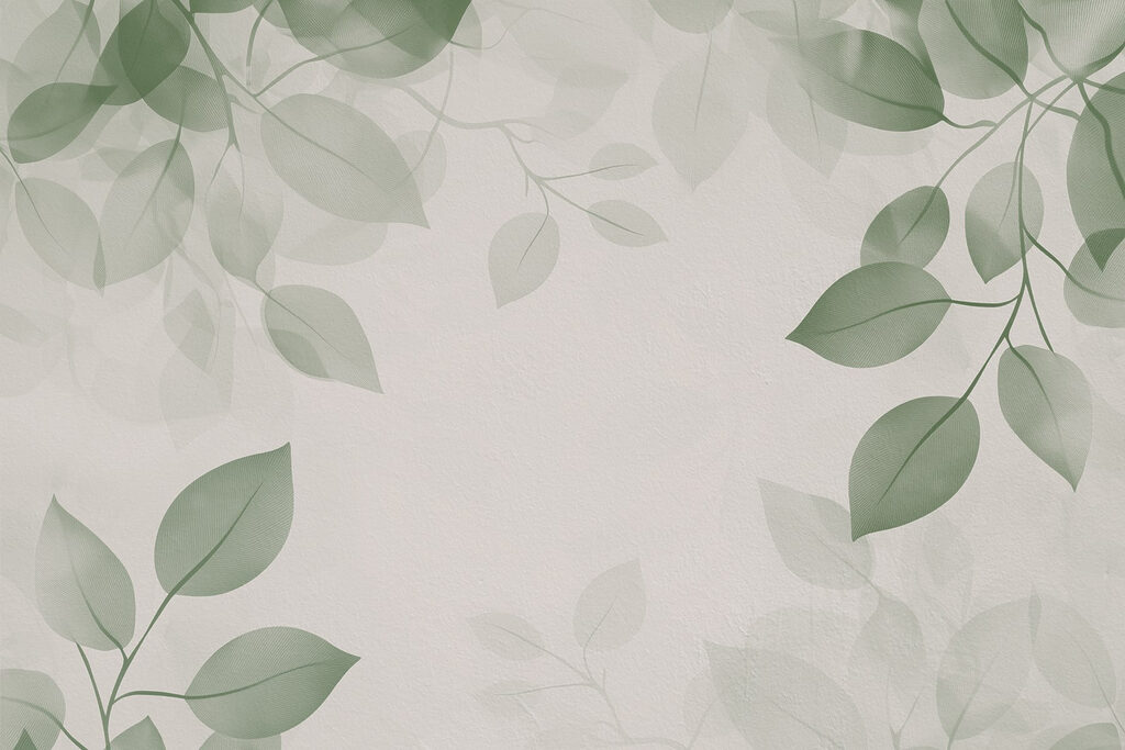 Feuilles vertes sur fond blanc Feuilles vertes sur fond blanc