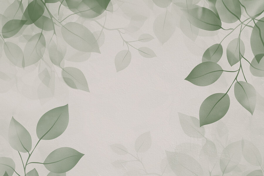Feuilles vertes sur fond blanc