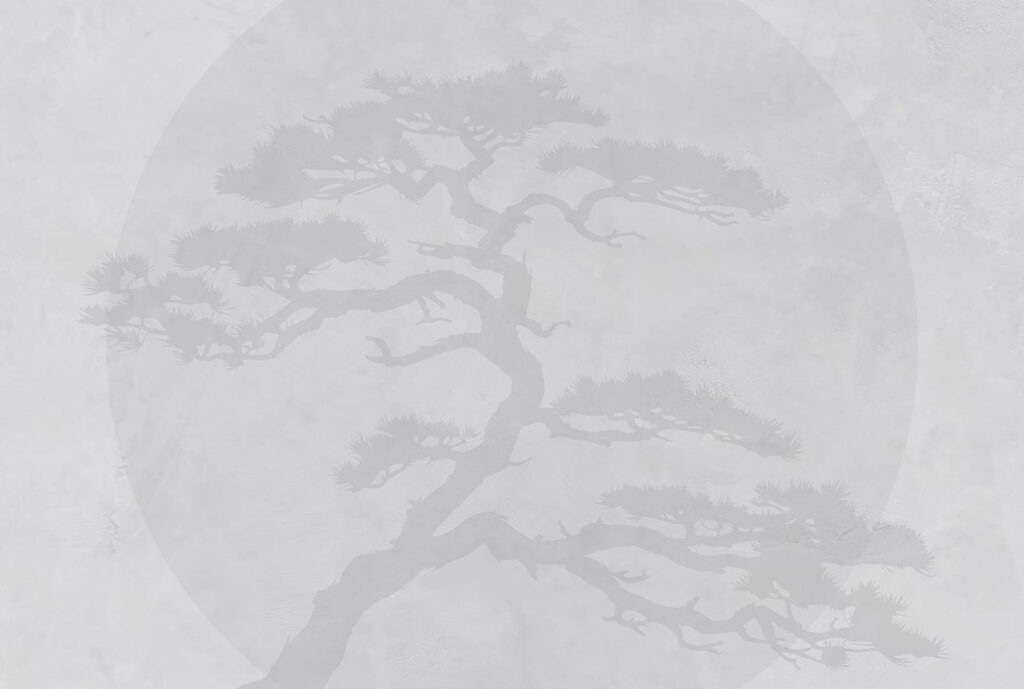 Arbre avec des branches sur fond blanc Arbre avec des branches sur fond blanc
