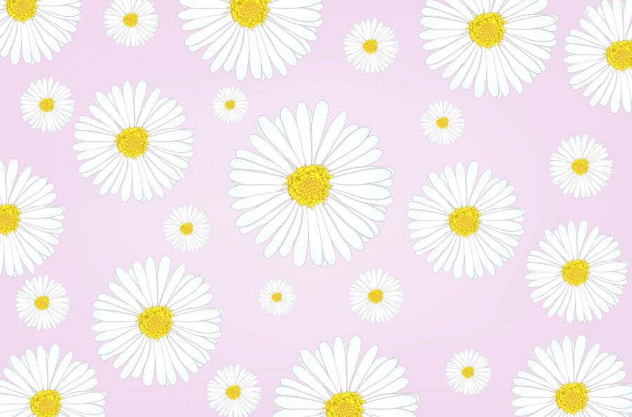 Motif de fleurs blanches et jaunes Motif de fleurs blanches et jaunes