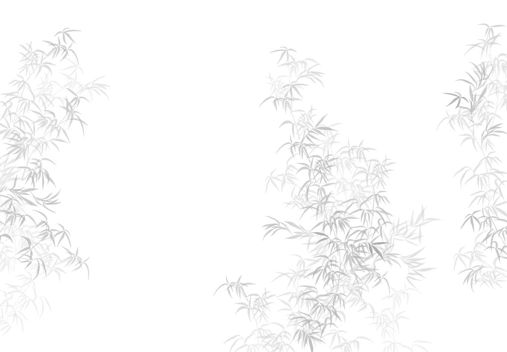 Fond blanc avec des feuilles Fond blanc avec des feuilles