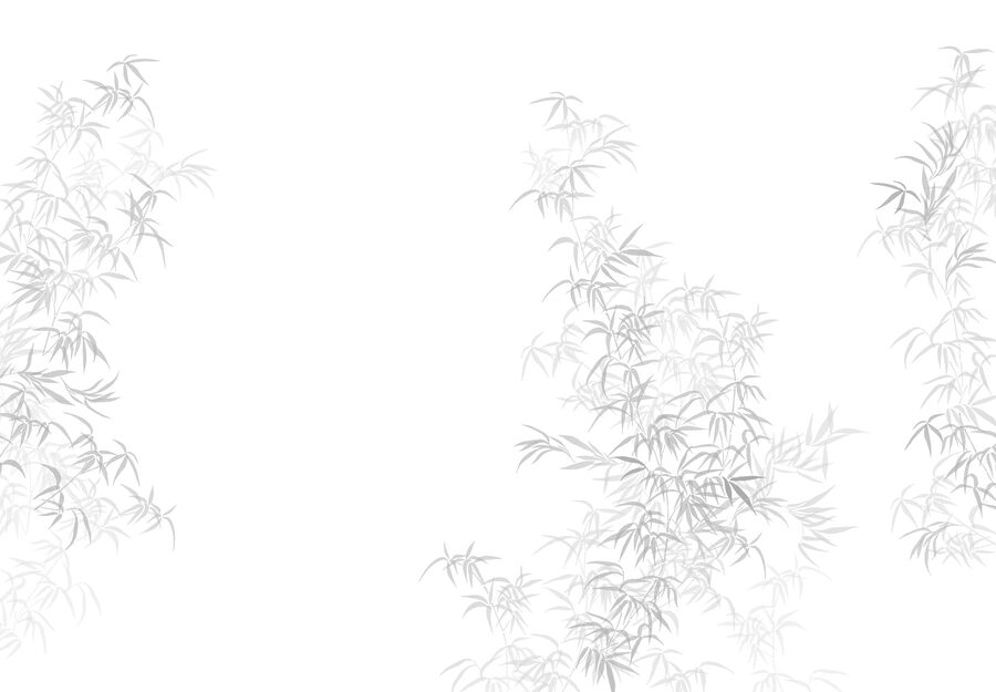 Fond blanc avec des feuilles
