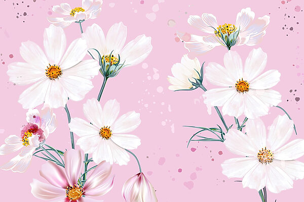 Groupe de fleurs blanches w02651p 600x400 - Groupe de fleurs blanches