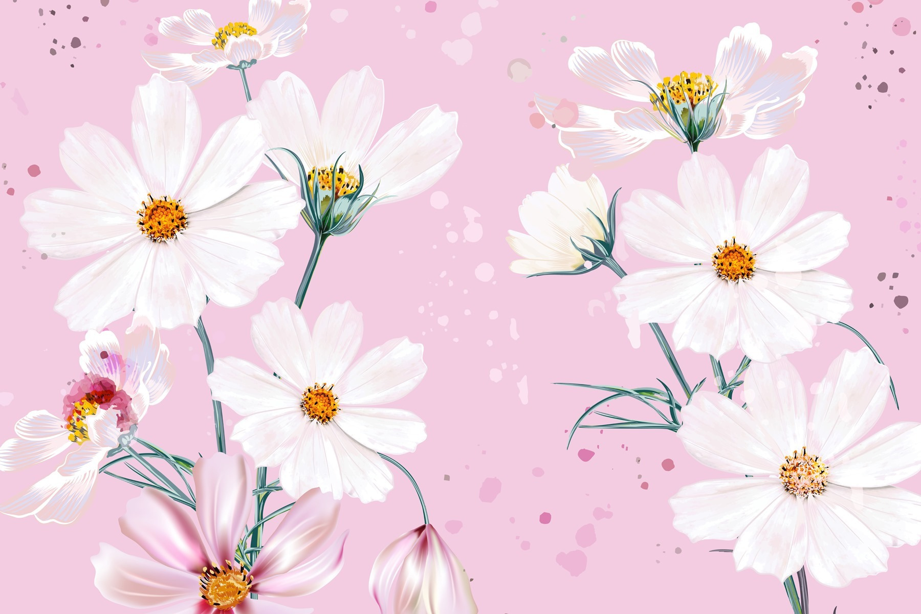 Groupe de fleurs blanches w02651p - Groupe de fleurs blanches