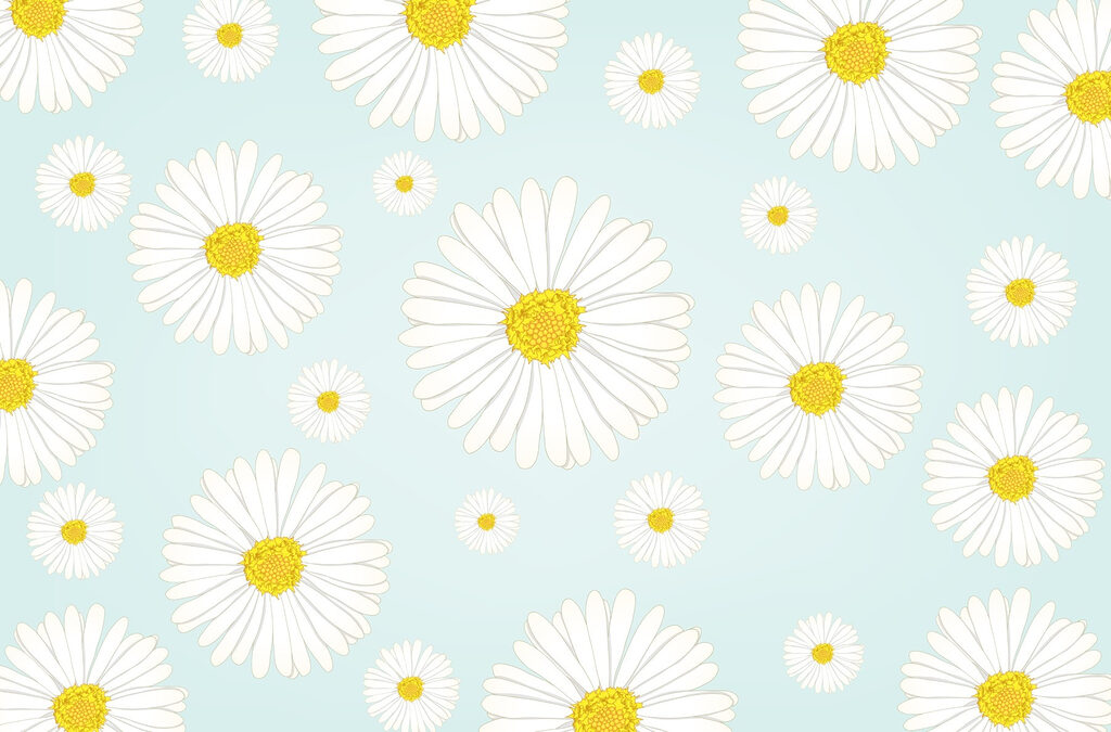 Motif de fleurs blanches et jaunes Motif de fleurs blanches et jaunes