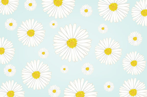 Motif de fleurs blanches et jaunes Motif de fleurs blanches et jaunes
