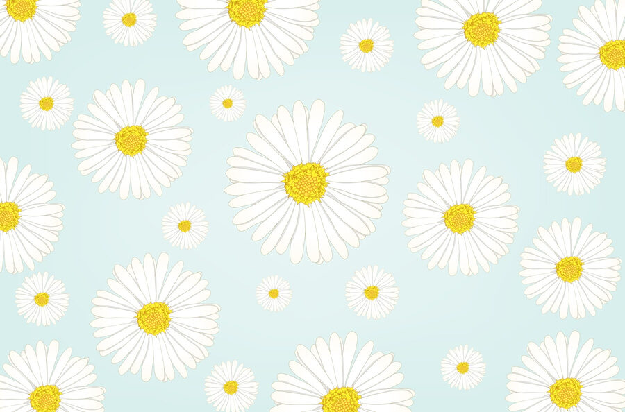 Motif de fleurs blanches et jaunes