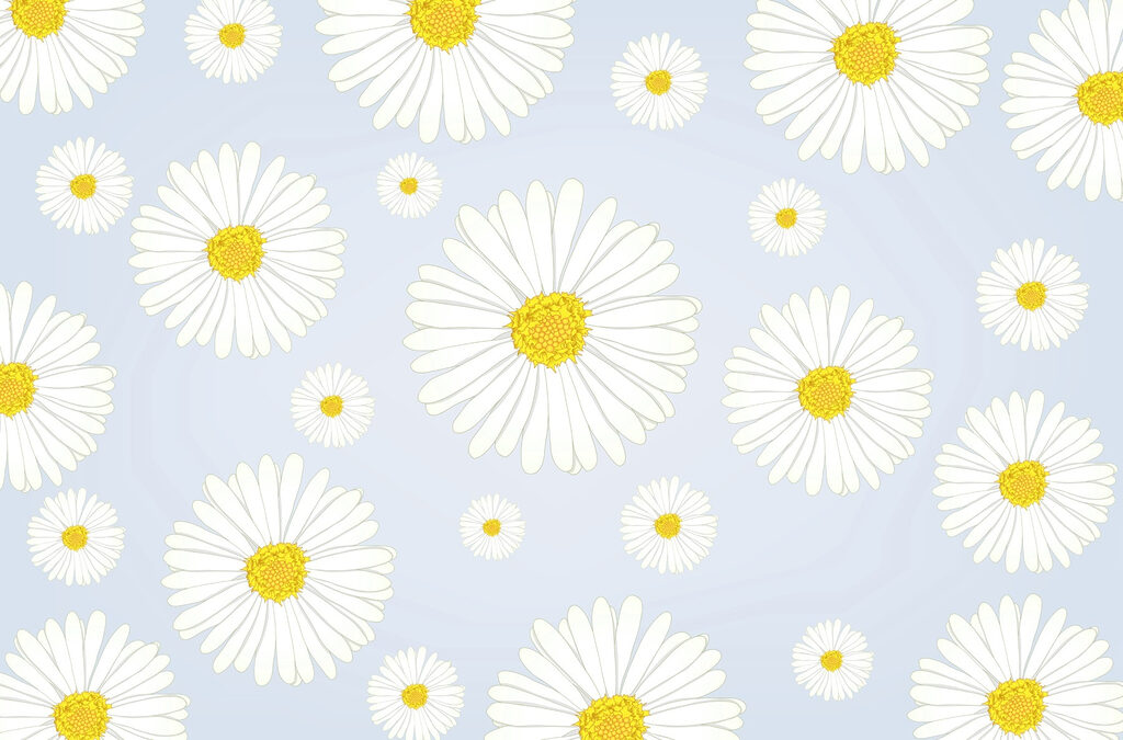 Groupe de fleurs blanches et jaunes Groupe de fleurs blanches et jaunes